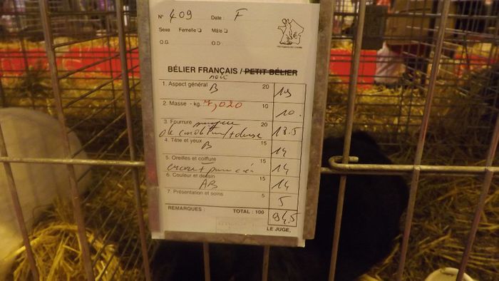 DSCF0446 - salon international de agricultura paris 2014 iepuri
