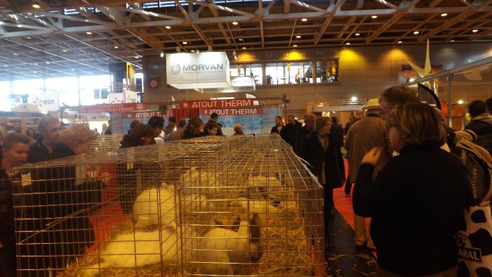 DSCF0463 - salon international de agricultura paris 2014 iepuri