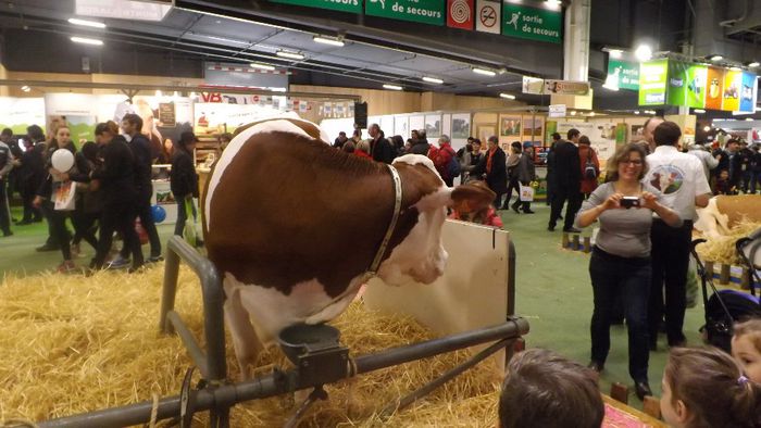 DSCF0470 - salon international de agricultura Paris 2014 DIVERSE