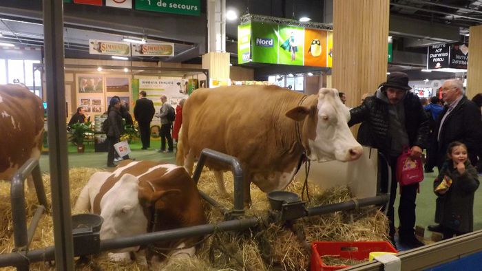 DSCF0471 - salon international de agricultura Paris 2014 DIVERSE