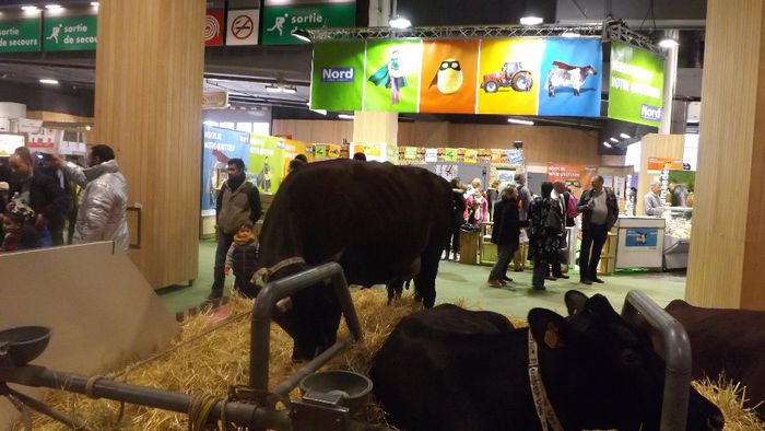 DSCF0472 - salon international de agricultura Paris 2014 DIVERSE