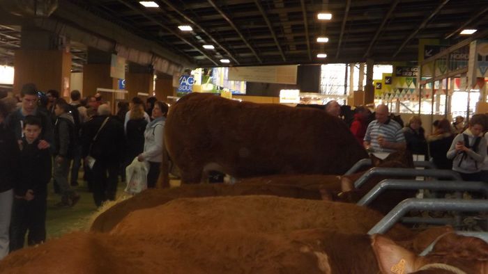 DSCF0482 - salon international de agricultura Paris 2014 DIVERSE