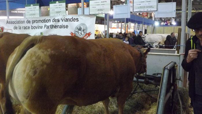DSCF0492 - salon international de agricultura Paris 2014 DIVERSE