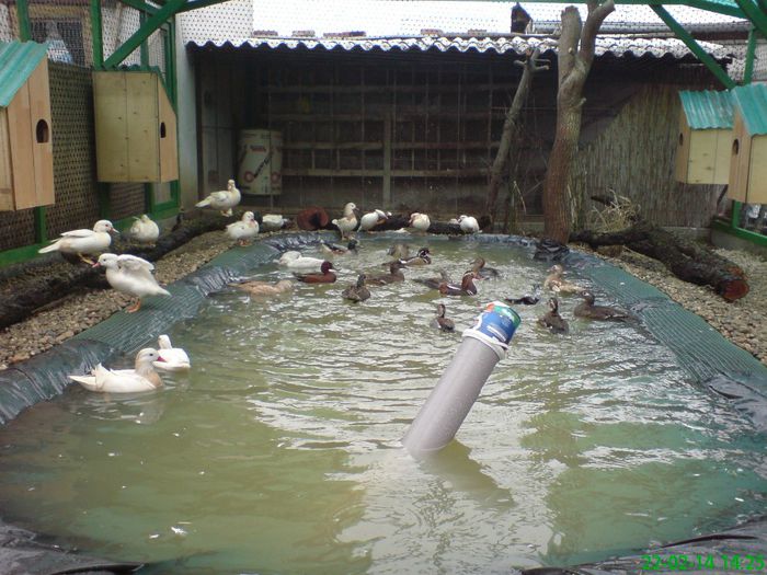 DSC03528 noua locatie