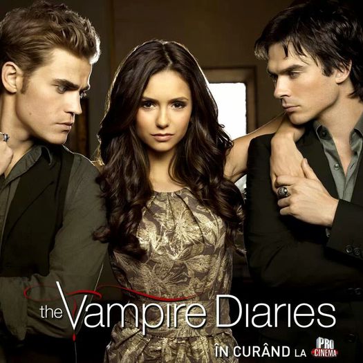 The Vampire Diaries - The Vampire Diaries