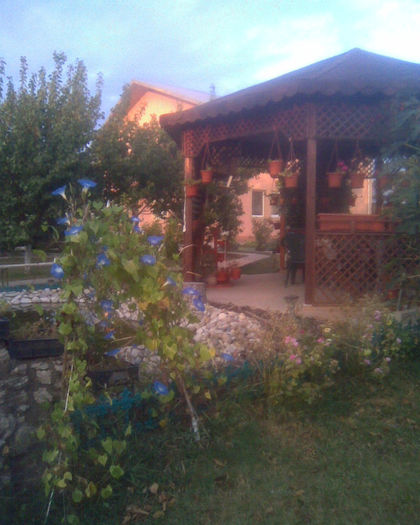 Imag059 - gradina si lac