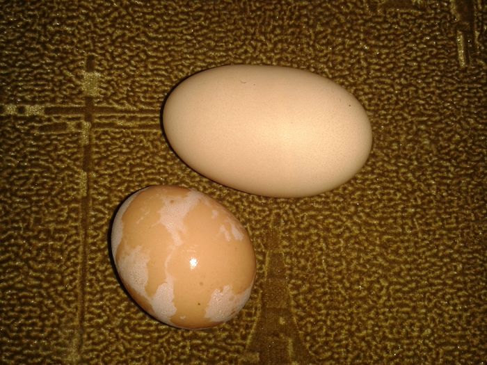 un ou mai mare si altul si mai mare