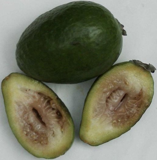 Ananas de Guava-fruct; (Feijoa sellowiana)
