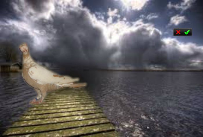 pozat la 2 ani - Carunculat de oradea