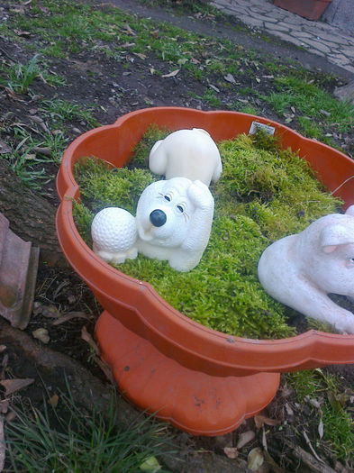 Fotografie0616; distractie cu plastic!
