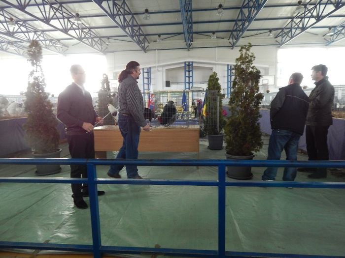 DSCN0878 - expozitie brasov 2014