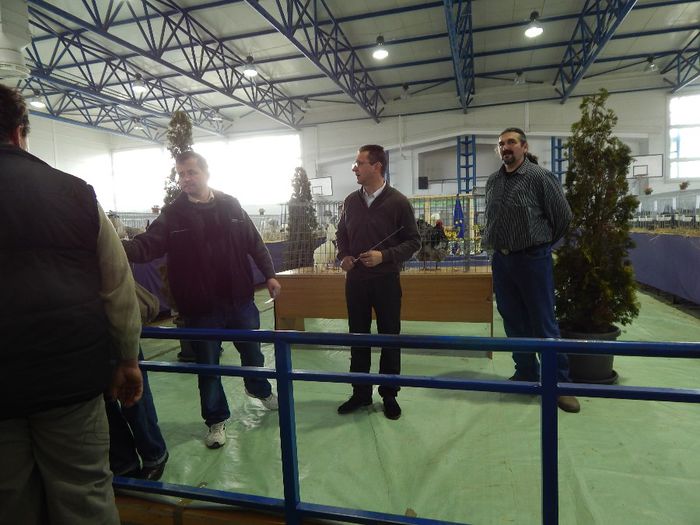 DSCN0879 - expozitie brasov 2014