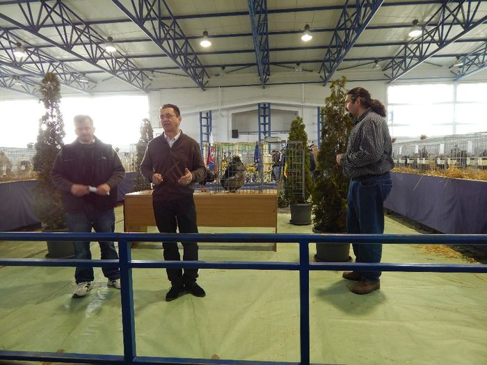 DSCN0881 - expozitie brasov 2014