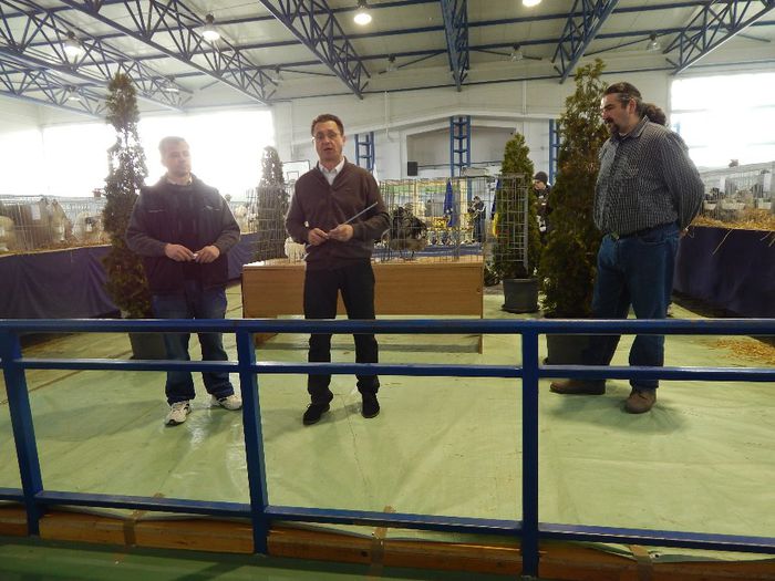 DSCN0882 - expozitie brasov 2014