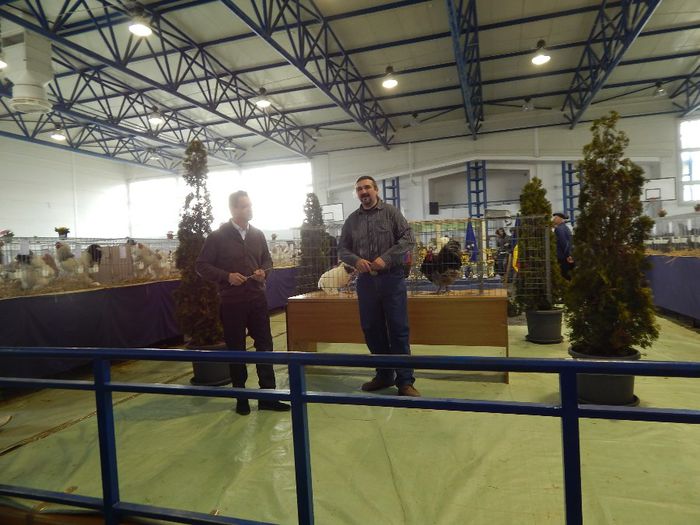 DSCN0883 - expozitie brasov 2014