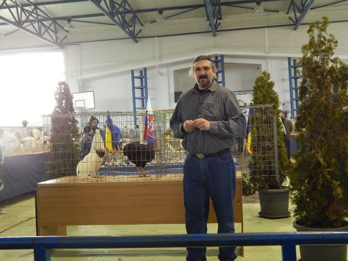 DSCN0884 - expozitie brasov 2014