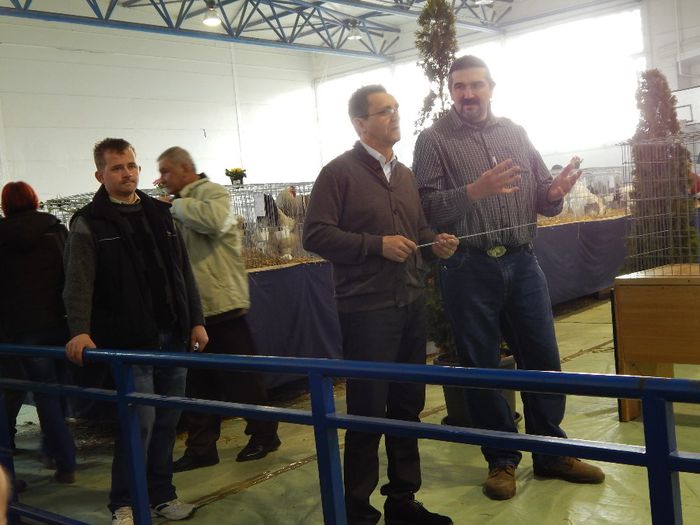 DSCN0890 - expozitie brasov 2014