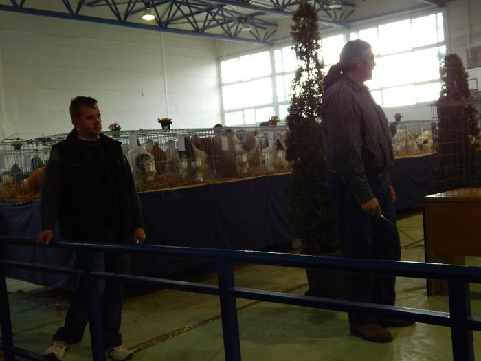 DSCN0892 - expozitie brasov 2014