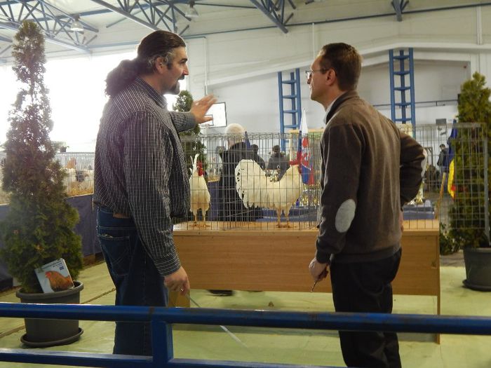 DSCN0900 - expozitie brasov 2014