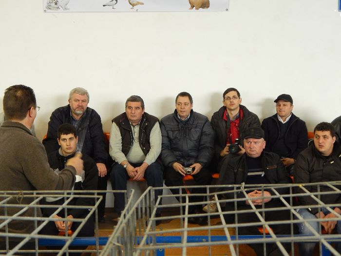 DSCN0905 - expozitie brasov 2014