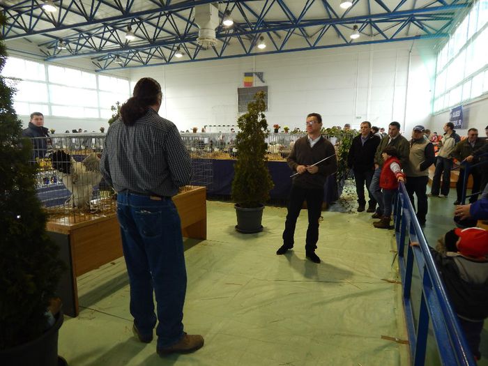 DSCN0908 - expozitie brasov 2014