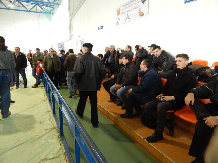 DSCN0910 - expozitie brasov 2014