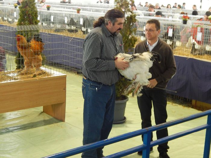 DSCN0911 - expozitie brasov 2014