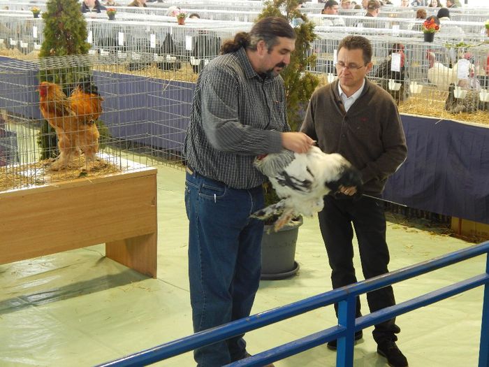 DSCN0912 - expozitie brasov 2014