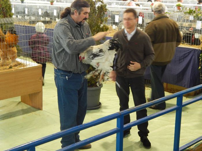 DSCN0913 - expozitie brasov 2014