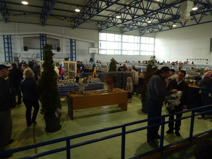 DSCN0914 - expozitie brasov 2014