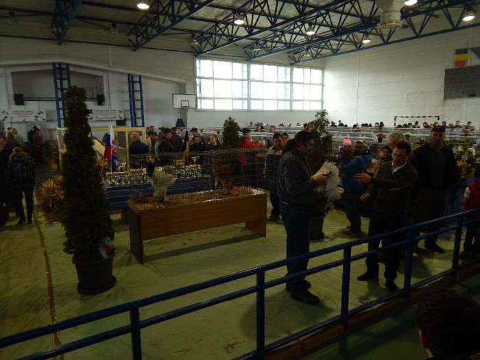 DSCN0916 - expozitie brasov 2014