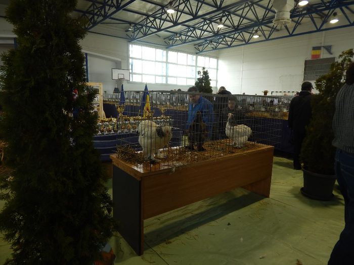 DSCN0917 - expozitie brasov 2014