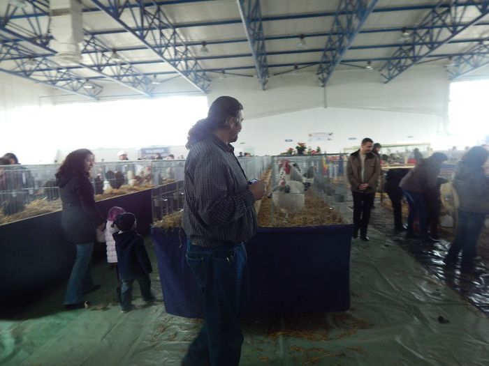 DSCN0924 - expozitie brasov 2014