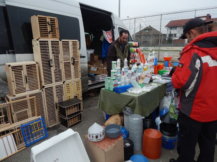 DSCN0934 - expozitie brasov 2014