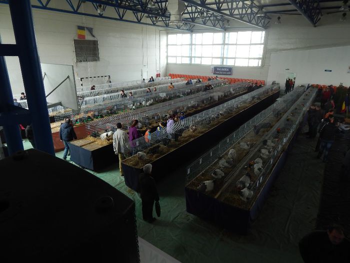 DSCN0953 - expozitie brasov 2014