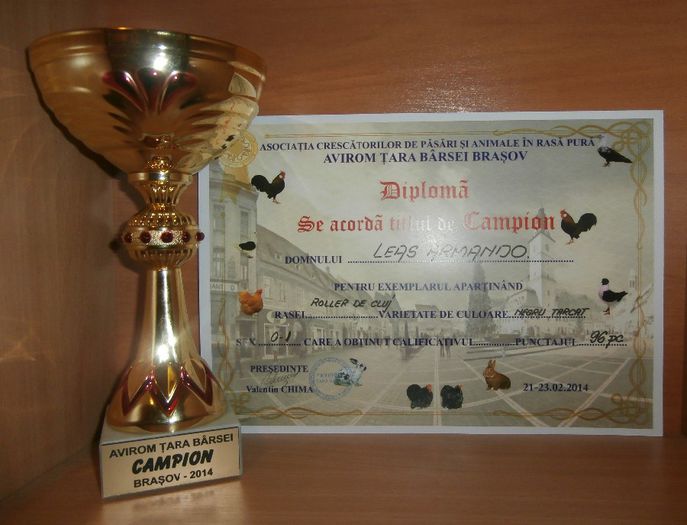 Campion Judetean Brasov 2014 Roller de Cluj Negru Tarcat