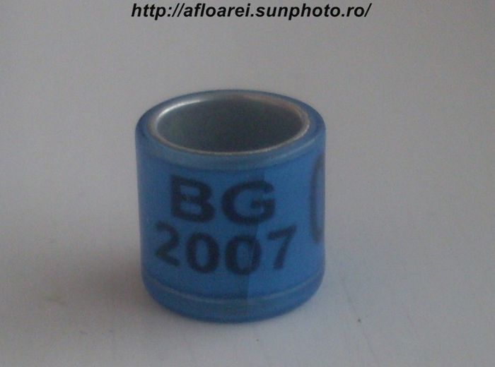 bg 2007