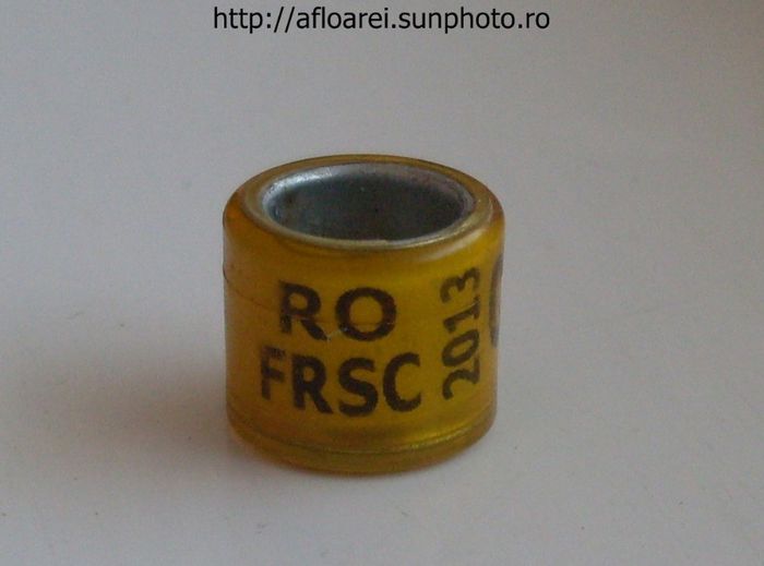 ro frsc 2013 - FRC-FRSC