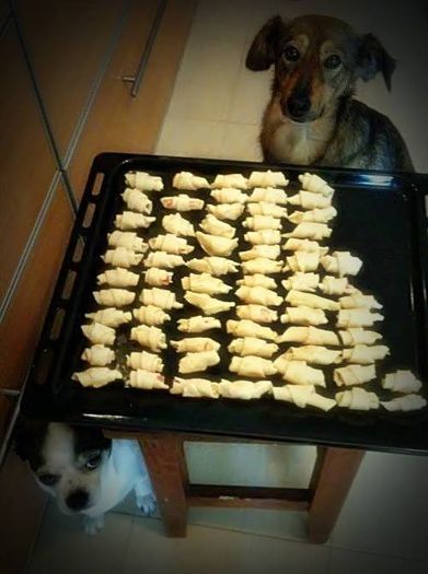 1013320_564263977021109_1625428162_n