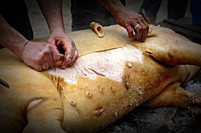 1497601_530524837061690_1607150161_n