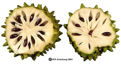 Cherimoya-fruct; (Annona cherimola)
