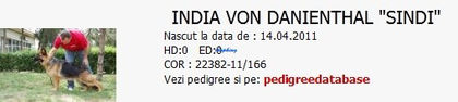 Screenshot - 2_24_2014 , 20_07_16 - 3--ciobanesc german