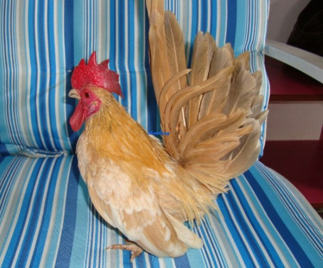 Screenshot - 2_21_2014 , 00_03_04