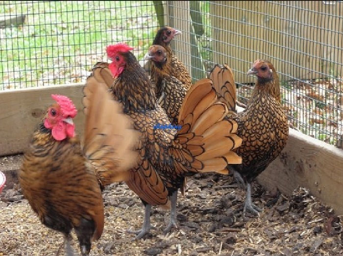 Screenshot - 2_22_2014 , 22_33_58