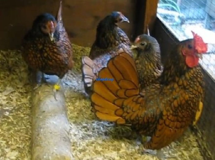 Screenshot - 2_22_2014 , 22_34_31