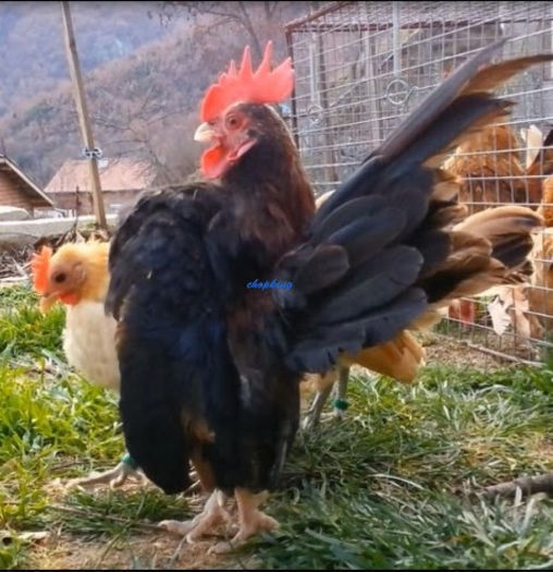 Screenshot - 2_23_2014 , 13_54_51