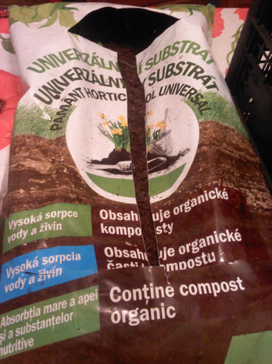 COMPOST PENTRU COMPLECTAT IN "GHIVECE LA ROSII" - RASADURI - 2014