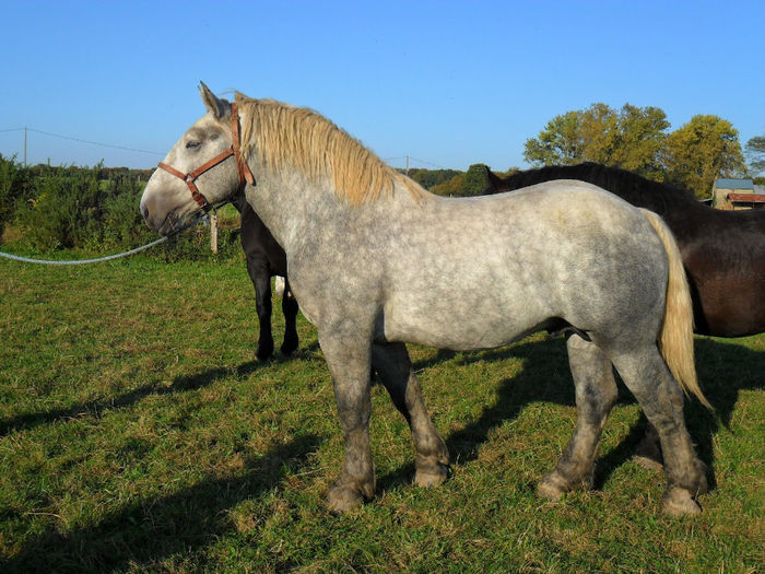 Jan saterdag aand 081