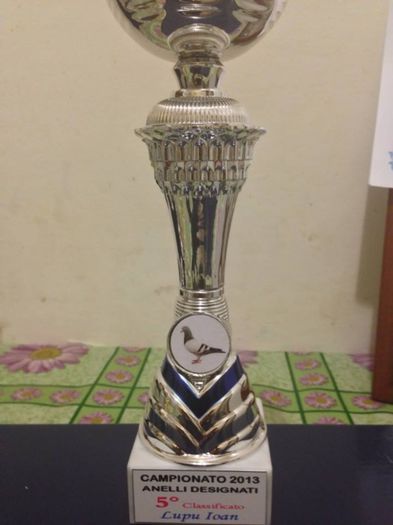 LOC . 5 INELE DESEGNEATE