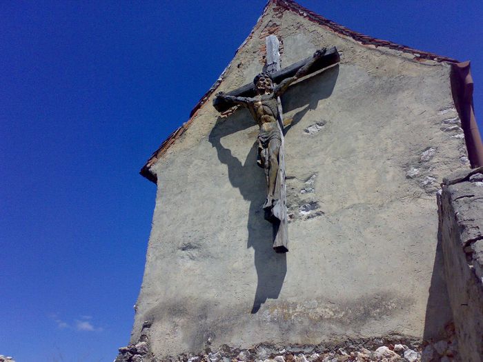 10052008313; RASNOV
